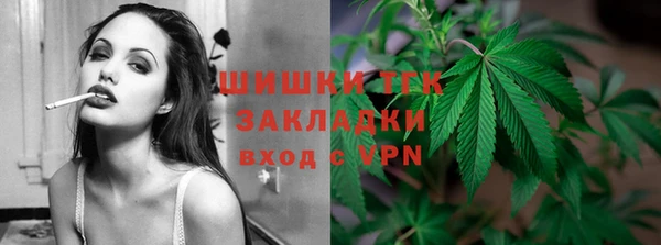 стафф Снежногорск