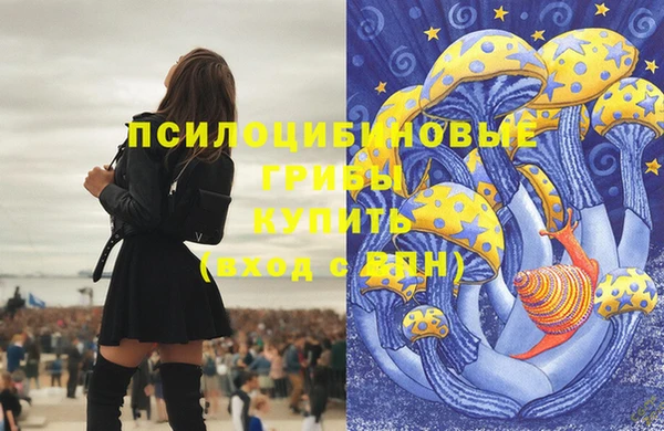 МДМА Верхний Тагил